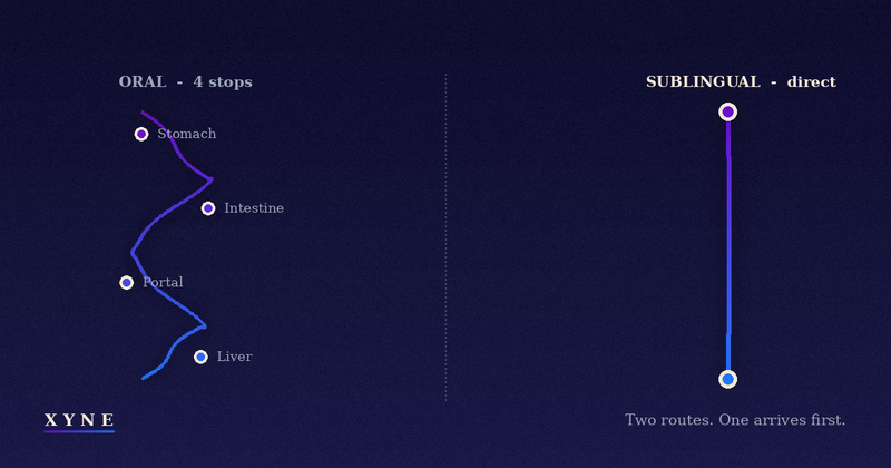 Two visual routes: an oral path with four stops (stomach, intestine, portal vein, liver) versus a direct sublingual line.