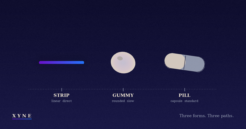Three supplement forms on a horizontal axis: a gradient strip, a rounded gummy, and a capsule pill — three formats, three paths.