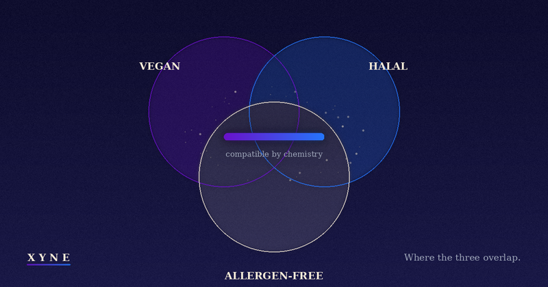 Three intersecting circles labeled Vegan, Halal, and Allergen-Free, with the XYNE gradient strip sitting where all three overlap.