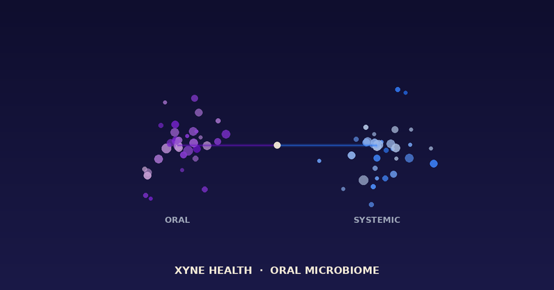 Two distinct microbiome cluster fields — oral and systemic — connected by a bridge: different mechanism, same brand.